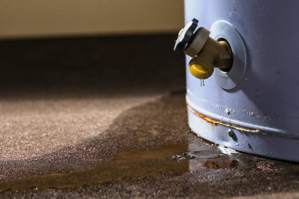 Best 24/7 water damage repair  in Imperial, MO