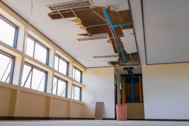 Best Water damage restoration near me  in Imperial, MO