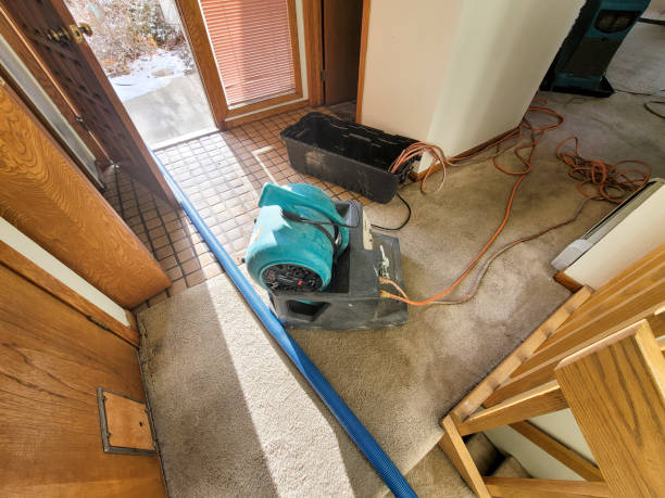 Best 24-hour water damage restoration  in Imperial, MO