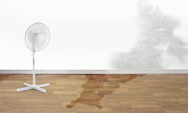 Best Ceiling water damage repair  in Imperial, MO