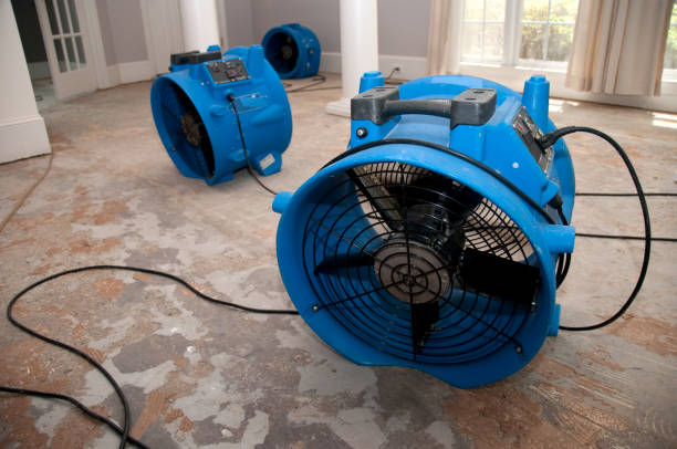 Best Local water damage restoration  in Imperial, MO