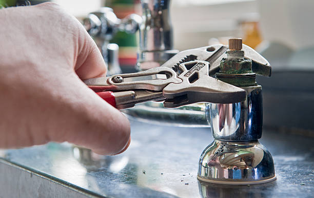 Best Professional water damage repair  in Imperial, MO