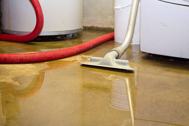 Best Water damage cleanup near me  in Imperial, MO