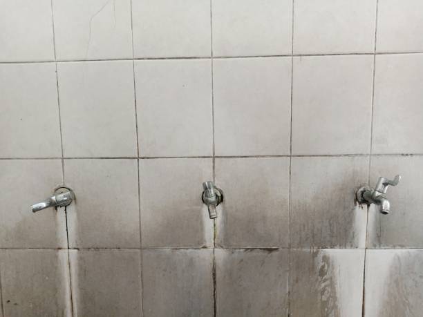 Best Commercial water damage restoration  in Imperial, MO