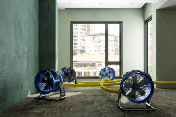 Best Local water damage restoration  in Imperial, MO