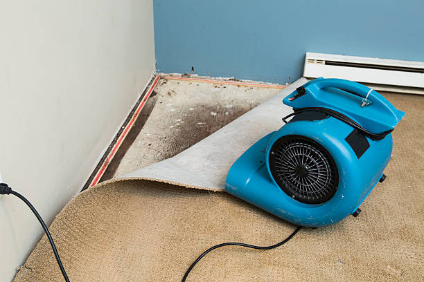 Local water damage restoration in MO